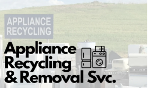 Old Appliance Recycling Services The Essential Guide: A Step Towards a ...